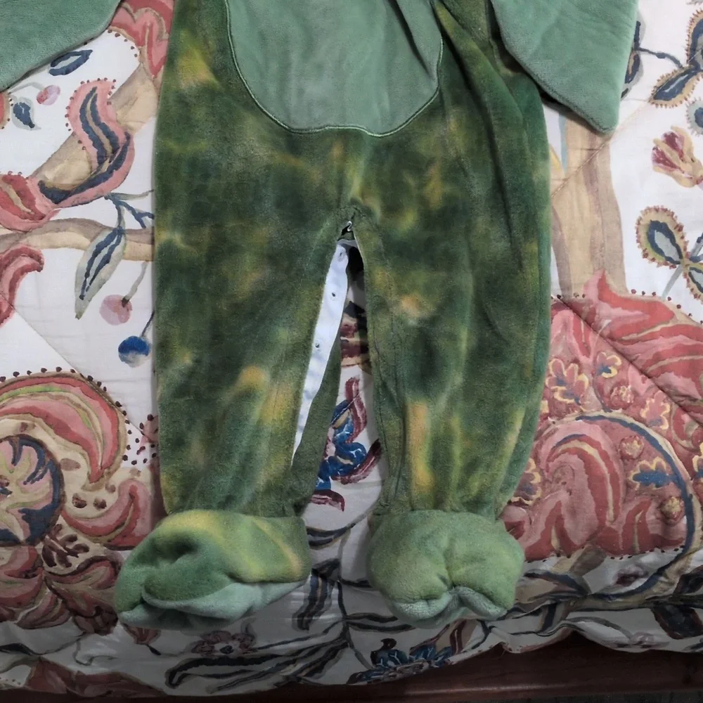 Hatching Pterodactyl Infant Costume